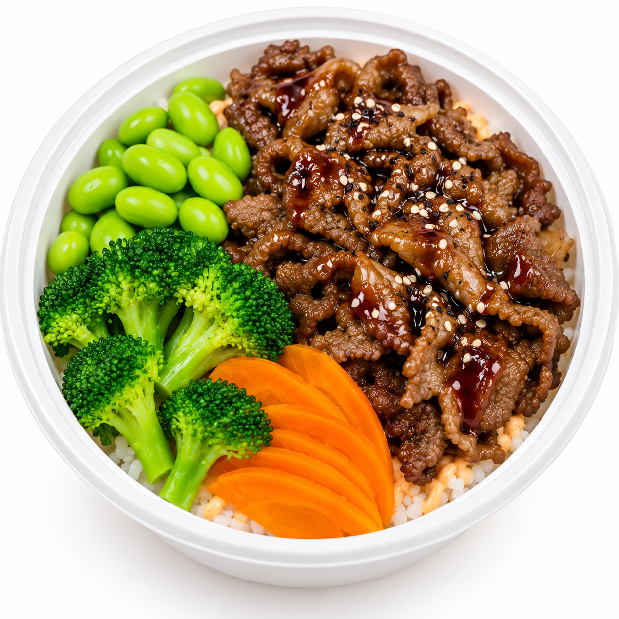 Beef Rice Bowl